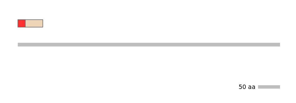 RnoEX0017650-INC