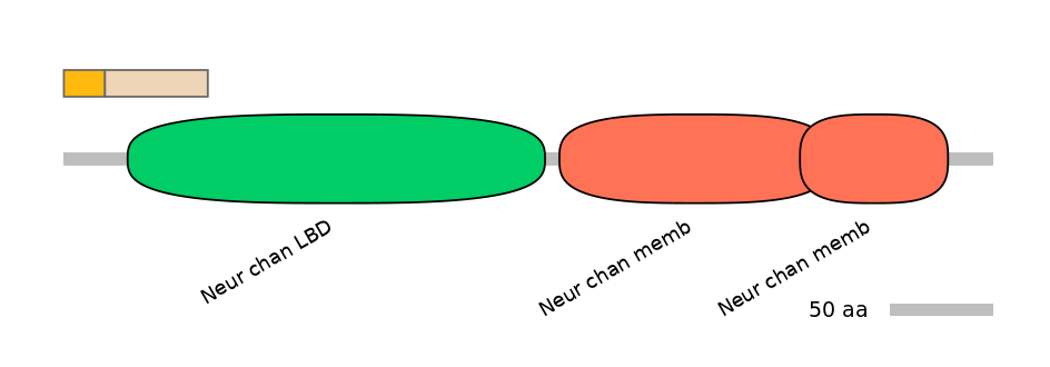RnoEX0021205-EXC