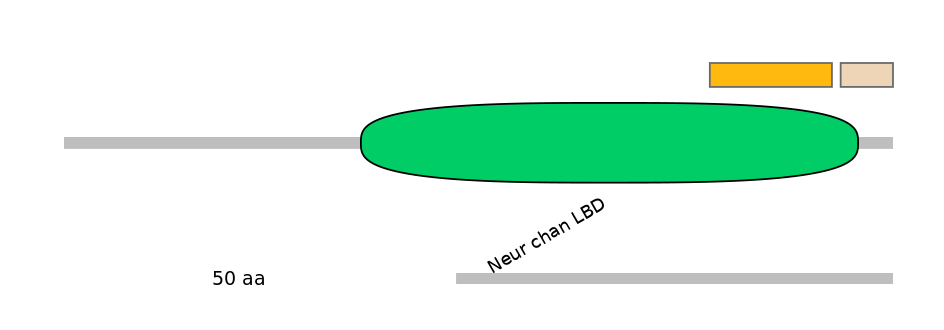 RnoEX0021228-EXC