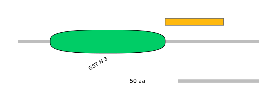 RnoEX0021761-EXC