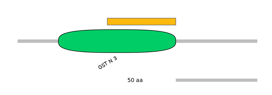 RnoEX0021766-EXC