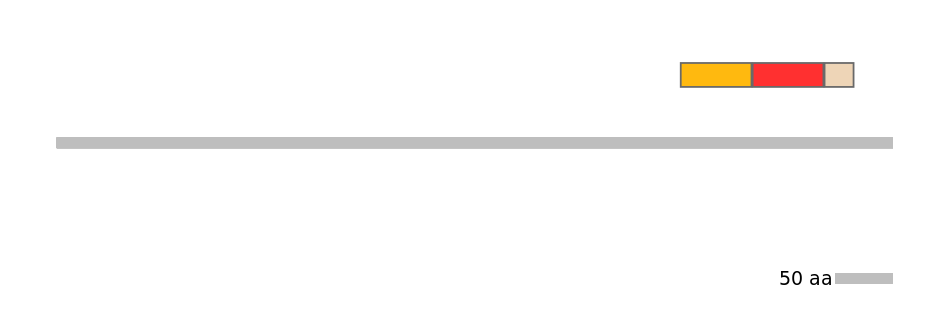 RnoEX0022484-INC