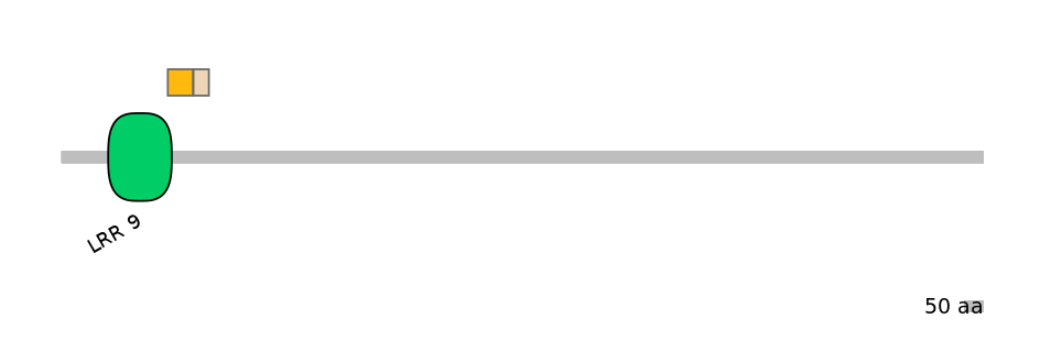 RnoEX0022611-EXC