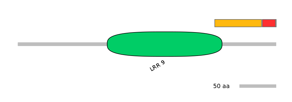 RnoEX0022611-INC