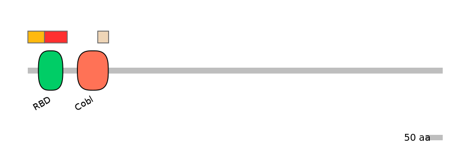 RnoEX0022652-INC