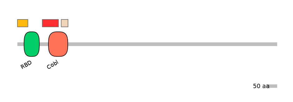 RnoEX0022653-INC