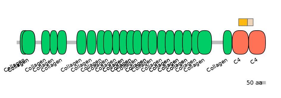 RnoEX0023239-EXC