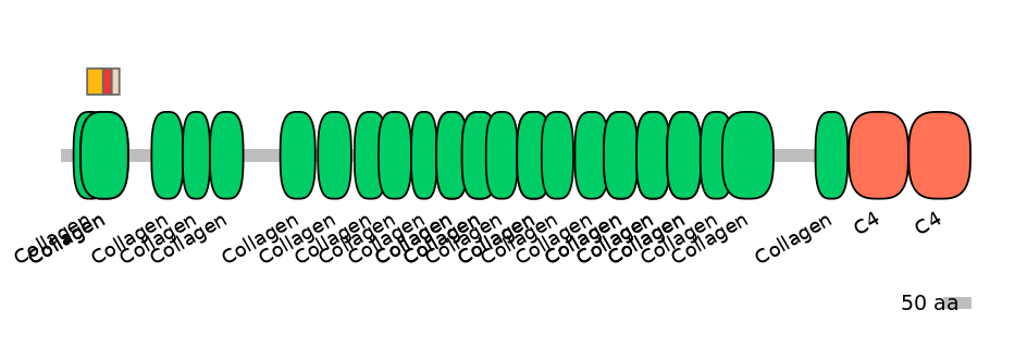 RnoEX0023241-INC