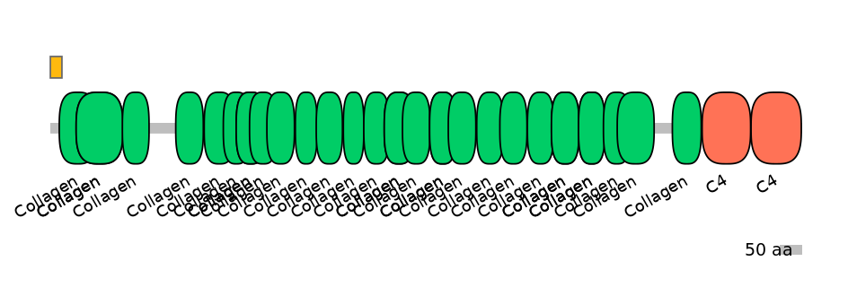 RnoEX0023335-EXC
