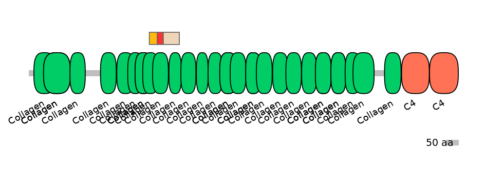 RnoEX0023341-INC