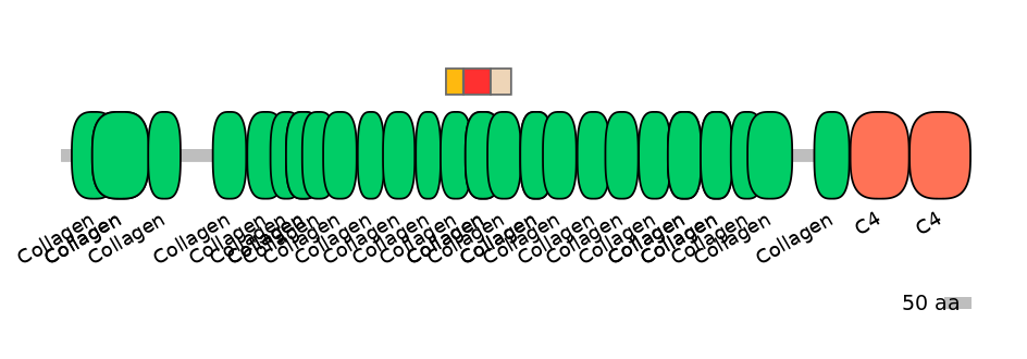RnoEX0023343-INC