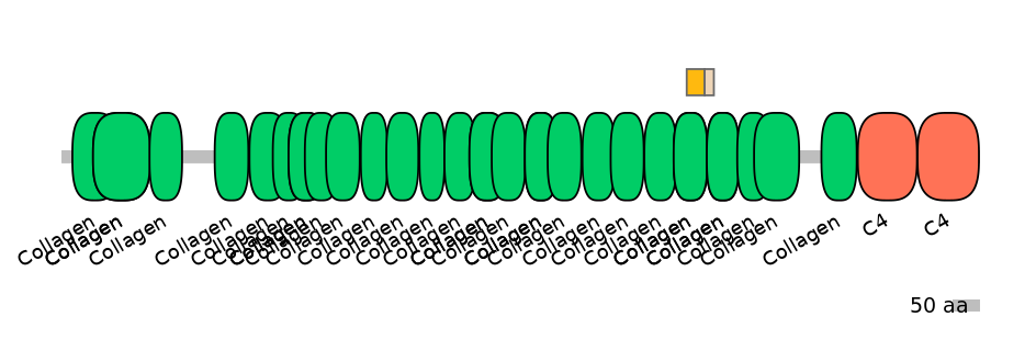 RnoEX0023349-EXC