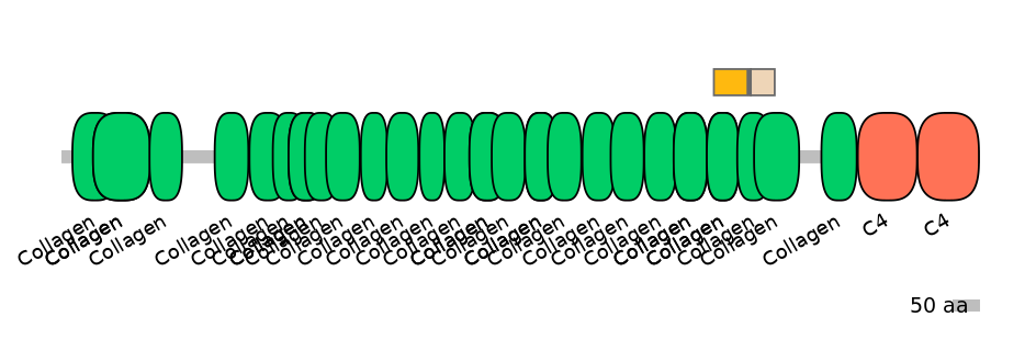 RnoEX0023356-INC