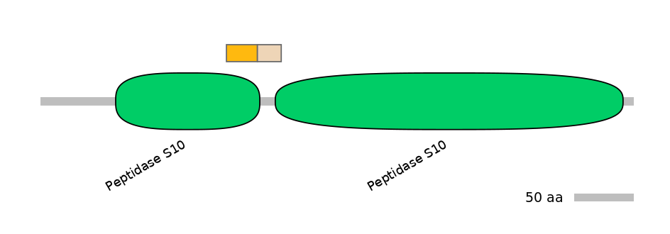 RnoEX0024324-EXC
