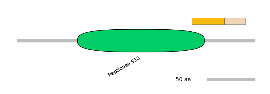 RnoEX0024326-EXC