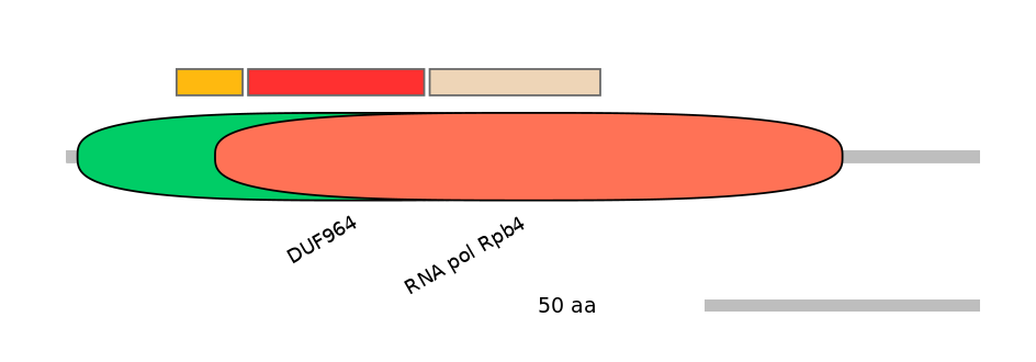 RnoEX0024425-INC