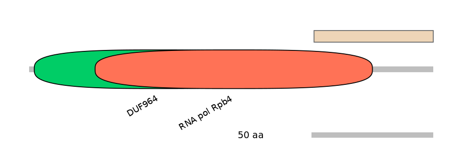 RnoEX0024427-EXC