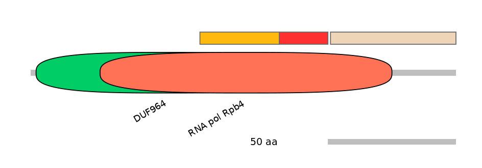RnoEX0024428-INC