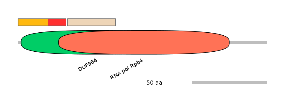 RnoEX0024430-INC
