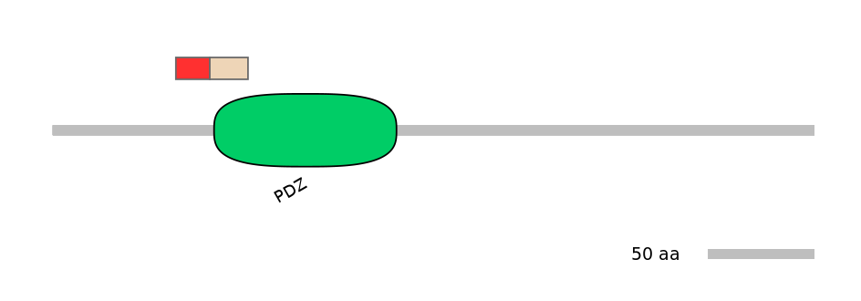 RnoEX0026077-INC