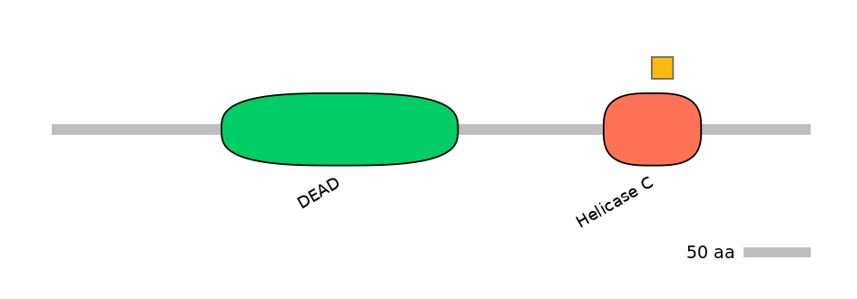RnoEX0026866-EXC