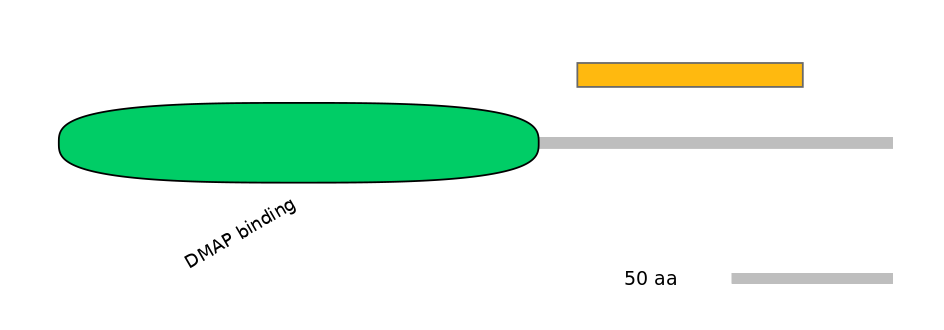 RnoEX0027976-EXC
