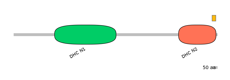 RnoEX0028614-EXC