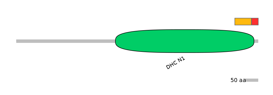 RnoEX0028628-INC