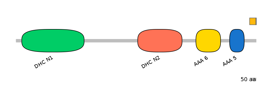 RnoEX0028658-INC