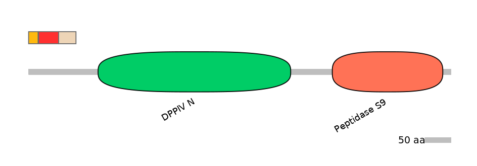 RnoEX0029644-INC