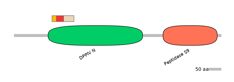 RnoEX0029660-INC