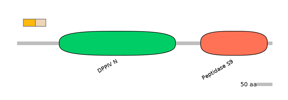 RnoEX0029662-EXC
