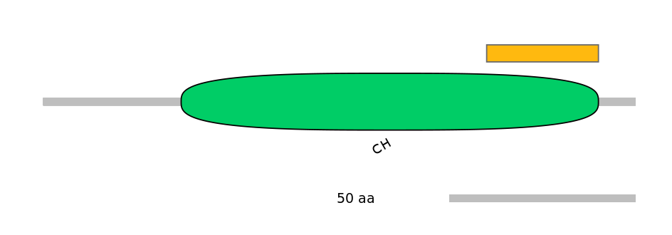 RnoEX0030003-EXC