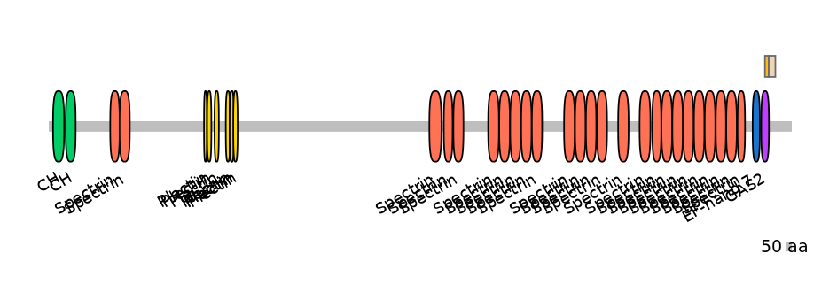 RnoEX0030039-EXC