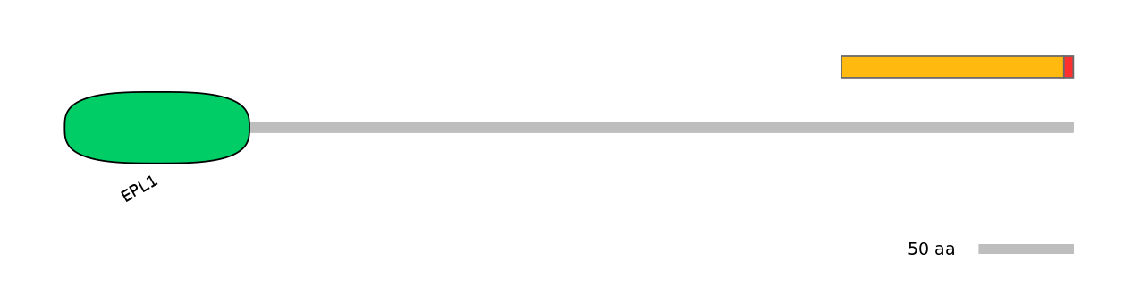 RnoEX0032465-INC