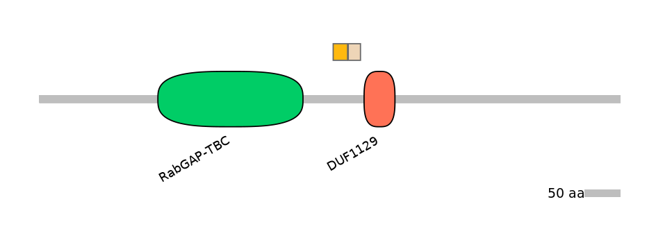 RnoEX0033404-EXC