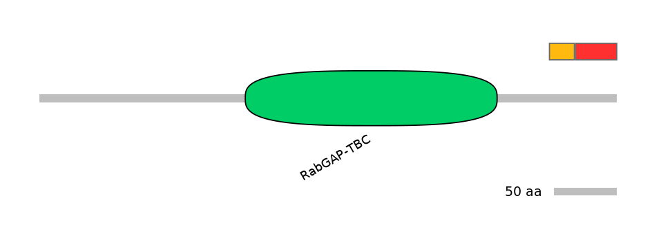 RnoEX0033404-INC
