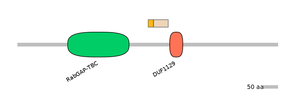 RnoEX0033405-EXC