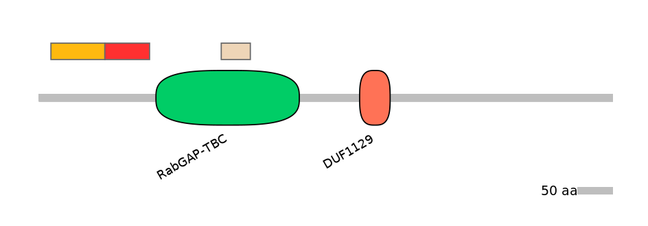 RnoEX0033413-INC
