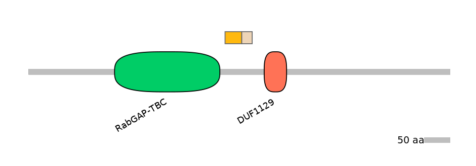 RnoEX0033417-EXC