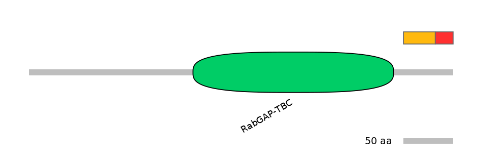 RnoEX0033417-INC