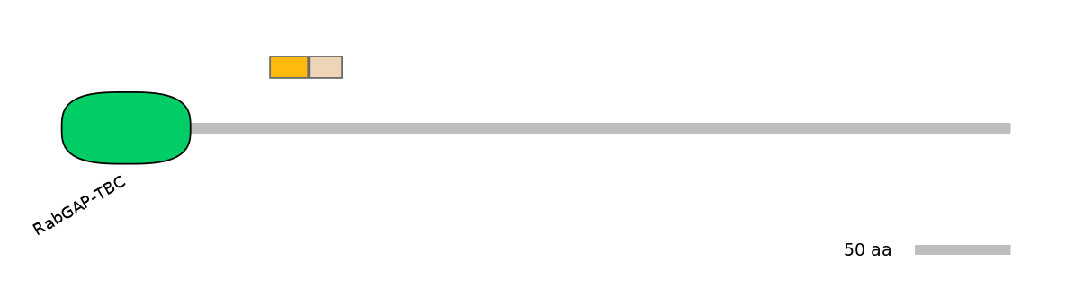 RnoEX0033422-EXC