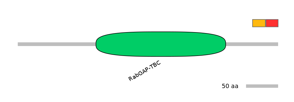 RnoEX0033422-INC