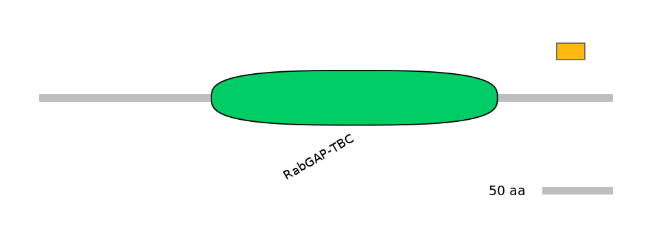RnoEX0033429-EXC