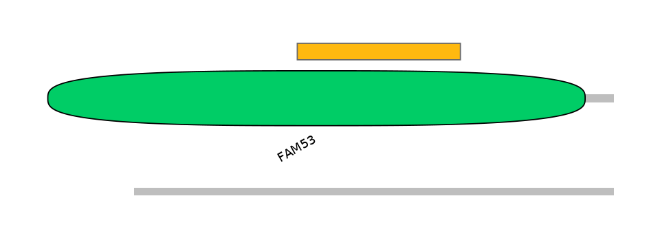 RnoEX0034614-EXC