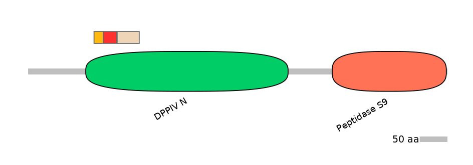 RnoEX0034891-INC
