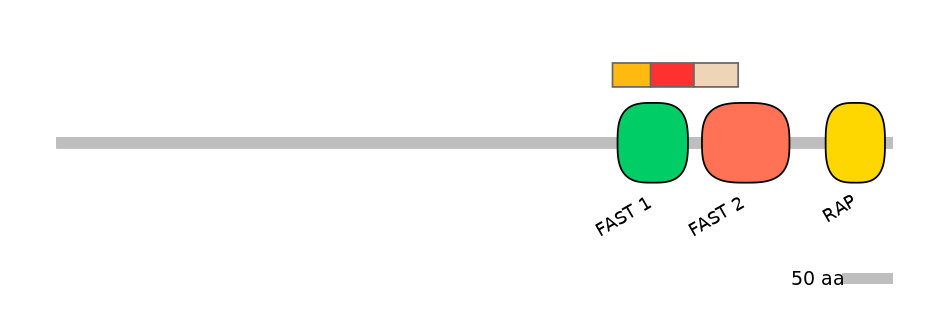 RnoEX0035009-INC