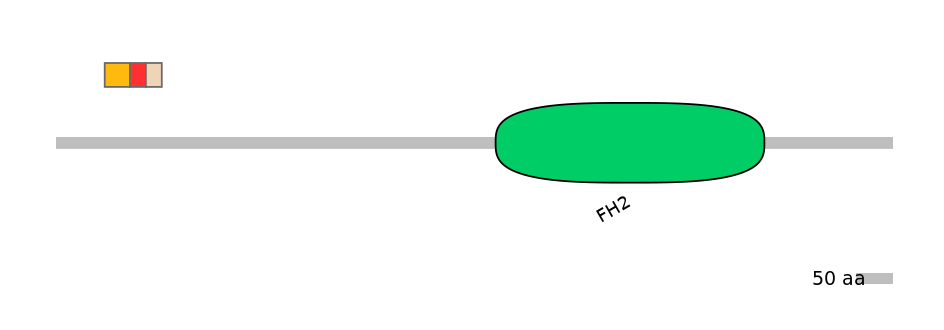 RnoEX0035992-INC