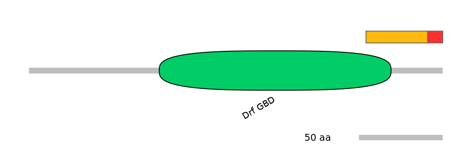 RnoEX0036005-INC