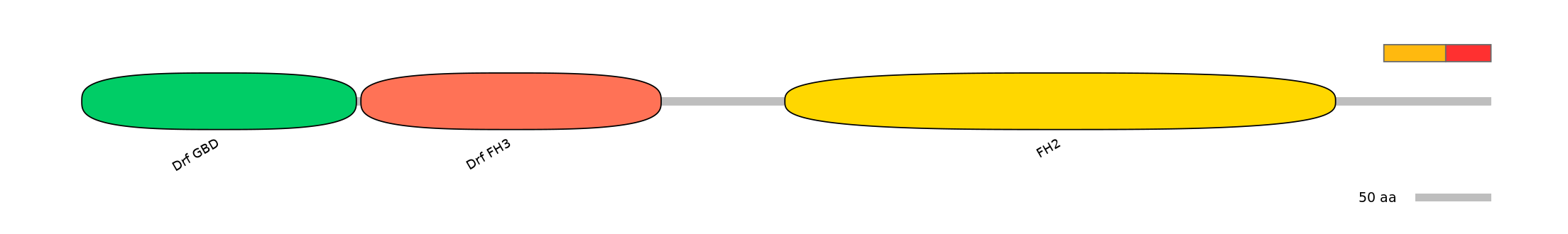 RnoEX0036419-INC